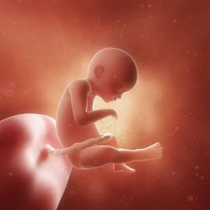 5 monat schwangerschaftsbauch leicapbeefsla: Babybauch